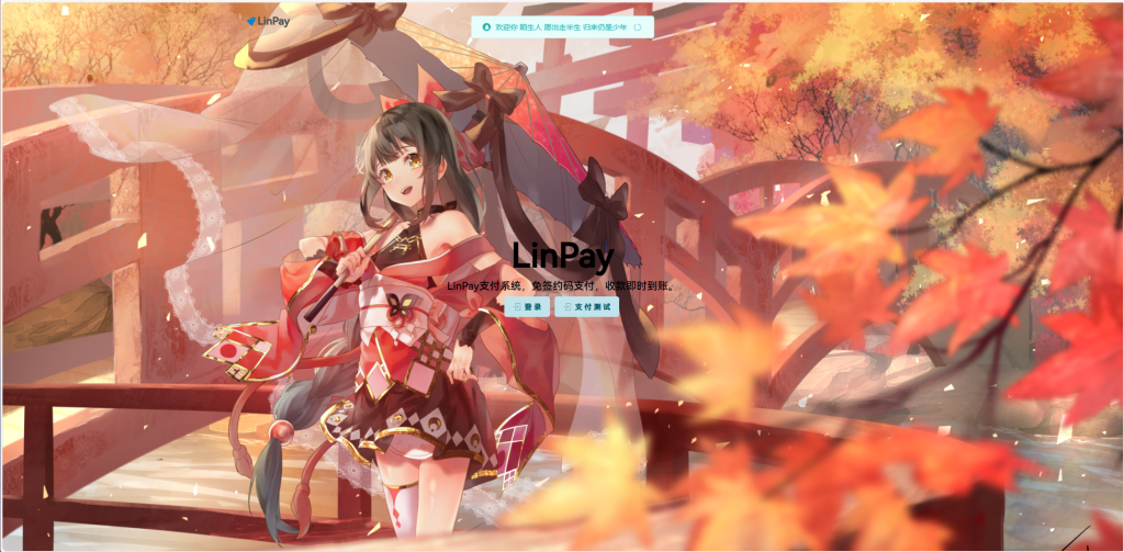 2024首发最新LinPay码支付免授权版，LinPay码支付官网，码支付，源支付-文龙资源站