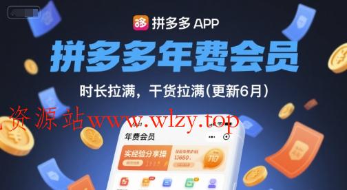 拼多多年费会员，实经验分享操，时长拉满，干货拉满(更新11月)-文龙资源站