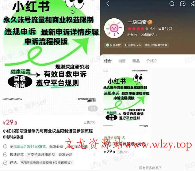 小红书虚拟电商掘金特训营第3期,从0到1带你玩小红书虚拟店铺