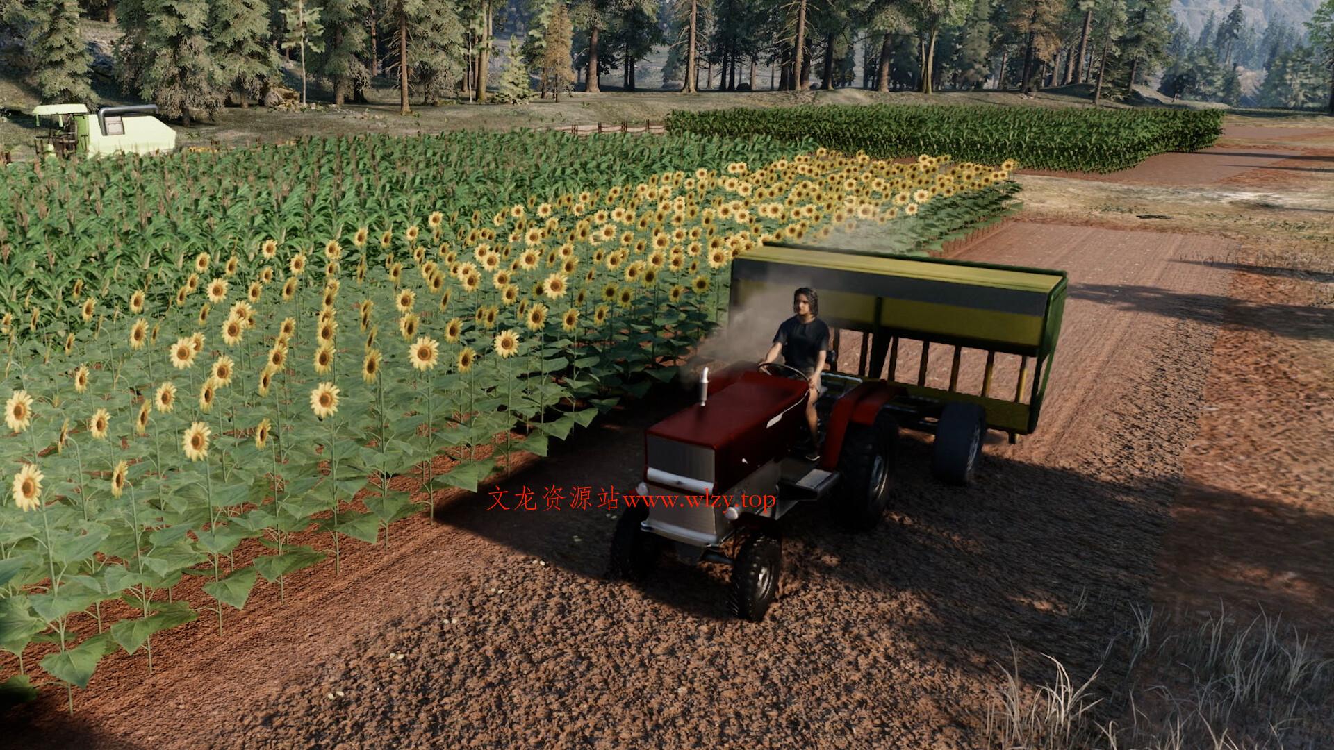 1615168859192890.jpg 3.jpg