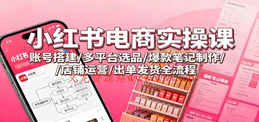 小红书电商实操课：账号搭建/多平台选品/爆款笔记制作/店铺运营/出单发货全流程-文龙资源站