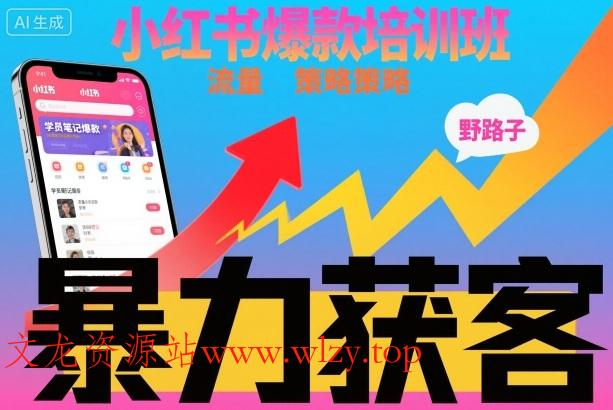 小红书爆款培训班，小红书获客野路子流量打法，暴力持续获客-文龙资源站