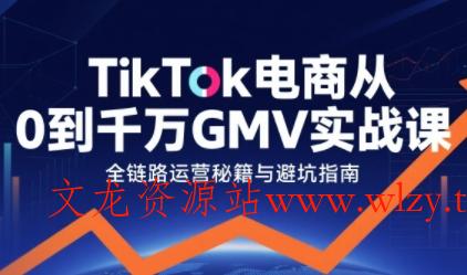 TikTok电商从0到千万GMV实战课，从0到1拆解实战秘籍(更新)-文龙资源站