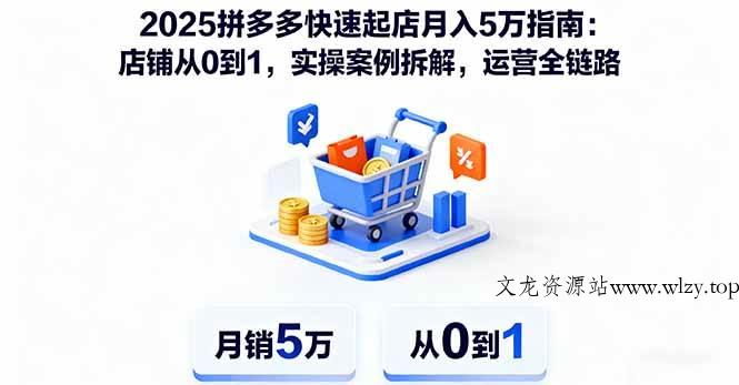 （16199期）2025拼多多快速起店月入5万指南：店铺从0到1，实操案例拆解，运营全链路-文龙资源站