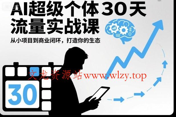 AI超级个体30天流量实战课,从小项目到商业闭环,打造你的生态-文龙资源站