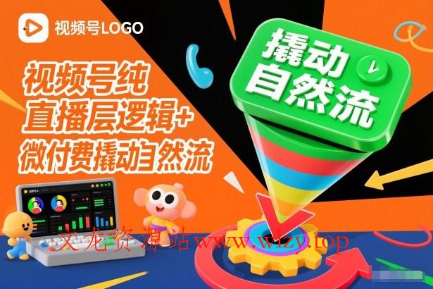 视频号纯直播底层逻辑+微付费撬动自然流-文龙资源站