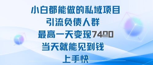 2025年小白都能做的私域项目引流负债人群最高一天变现1k+高变现难度低当天就能见到钱上手快-文龙资源站