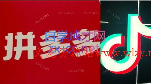 老陶电商·拼多多+抖音小店无货源开店(更新11月)-文龙资源站