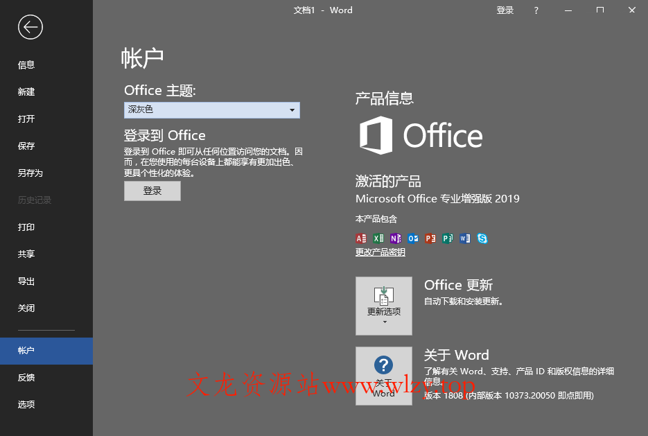 微软Office 2019 25年8月授权版-趣奇资源网-第7张图片 微软Office 2019 25年8月授权版-趣奇资源网-第7张图片