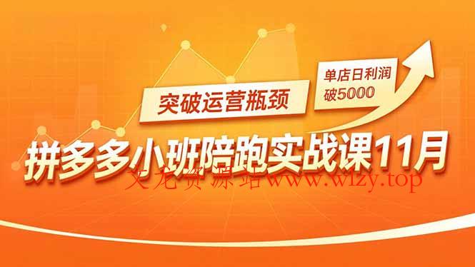拼多多小班陪跑实战课11月,强付费矩阵、原价活动、暗券引流,突破运营瓶颈,单店日利润破5000-文龙资源站