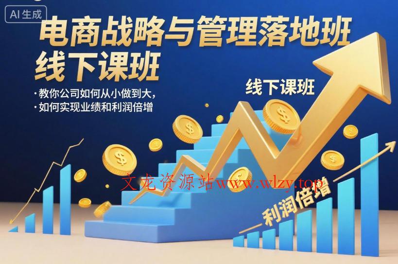 电商战略与管理落地班线下课，教你公司如何从小做到大，如何实现业绩和利润倍增【录音】-文龙资源站
