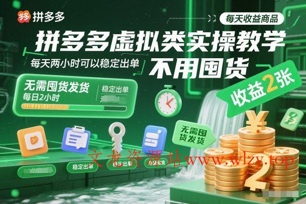 拼多多虚拟类实操教学,不用囤货、不用发货,每天两小时可以稳定出单,每天收益2张-文龙资源站