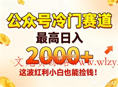 公众号冷门赛道,最高日入1k+,这波红利小白也能捡钱!-文龙资源站
