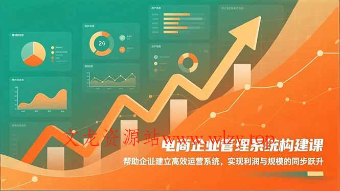 电商企业管理系统构建课：帮助企业建立高效运营系统，实现利润与规模的同步跃升-文龙资源站