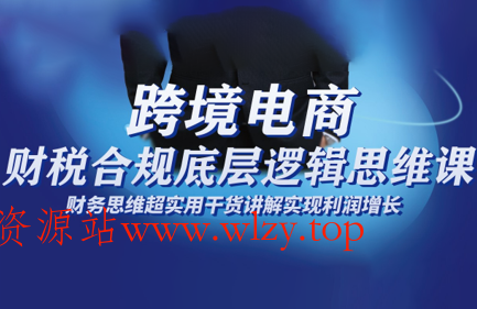 跨境电商财稅合规底层逻辑思维课-文龙资源站