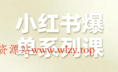小红书爆单系列课，聚焦小红书电商全链路增长(更新)-文龙资源站