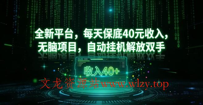 全新平台，每天保底40米收入，无脑项目，自动挂G解放双手【揭秘】-文龙资源站