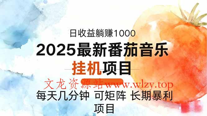 2025年最新番茄音乐人挂机项目,每天几分钟,月入1000+,可矩阵,一台…-文龙资源站