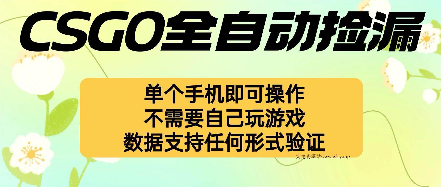 （16207期）自动挂机捡漏，不用自己挂机不用玩游戏，一个手机即可操作。新手小白轻…-文龙资源站