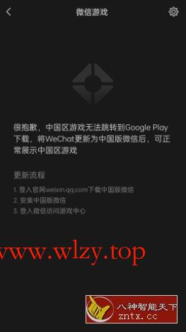 微信谷歌版v8.0.65(2942)-文龙资源站