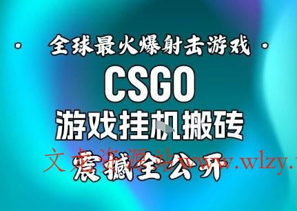 【年底大揭秘】基于全球最火爆的射击CSGO游戏挂G搬砖，日入5张+，震撼公开-文龙资源站