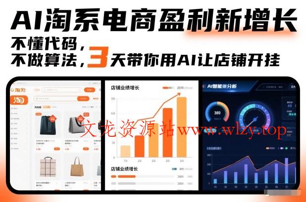AI淘系电商盈利新增长,不懂代码,不做算法,3天带你用AI让店铺开挂-文龙资源站