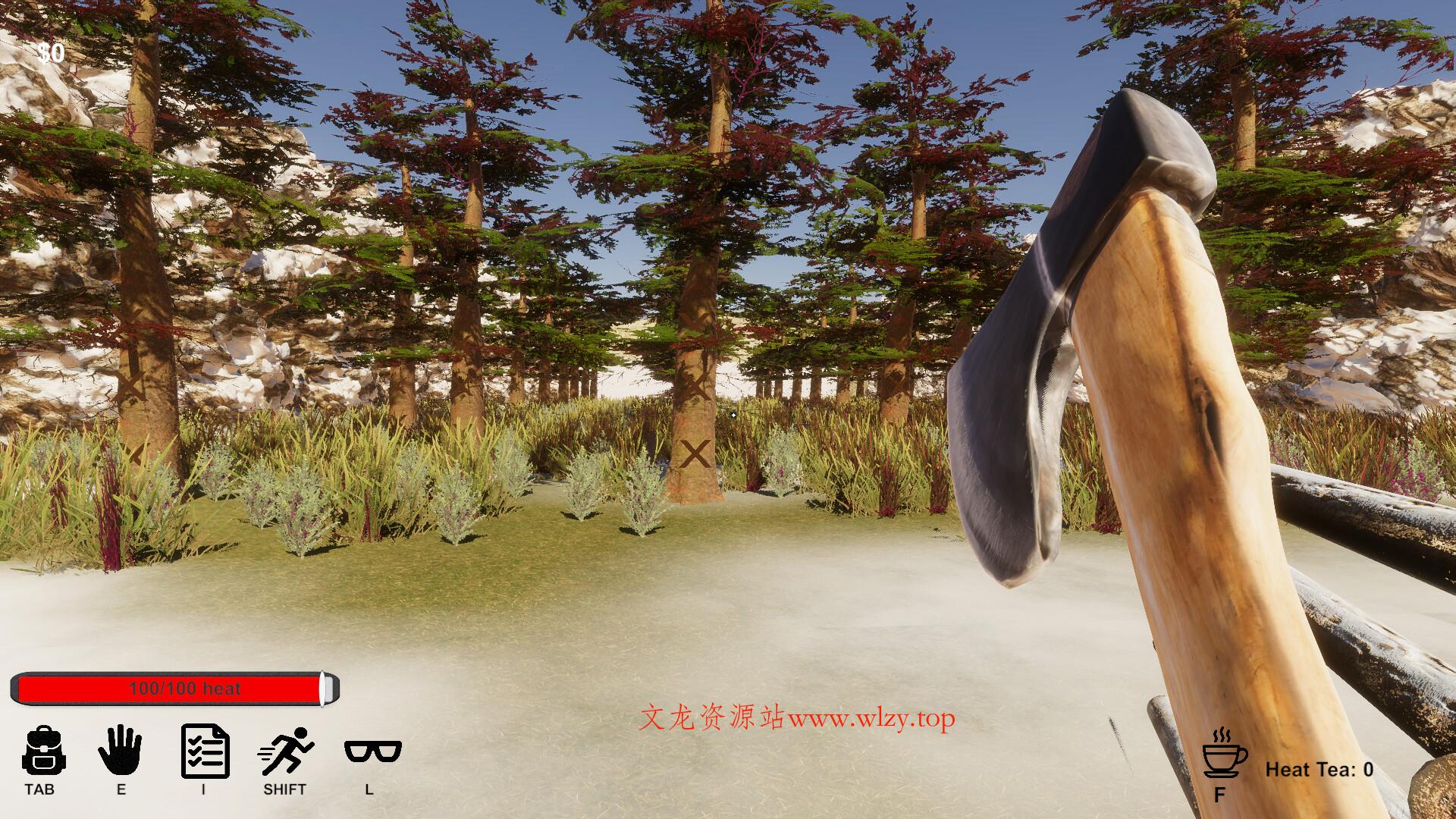 追逐她的光/Chasing Her Light