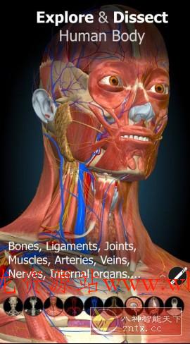 Anatomy Learning 3D解剖学v3.1.499高级版-文龙资源站