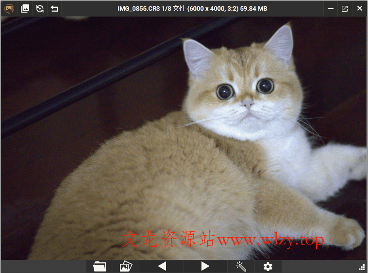 PicView看图工具v3.1.5中文版-文龙资源站