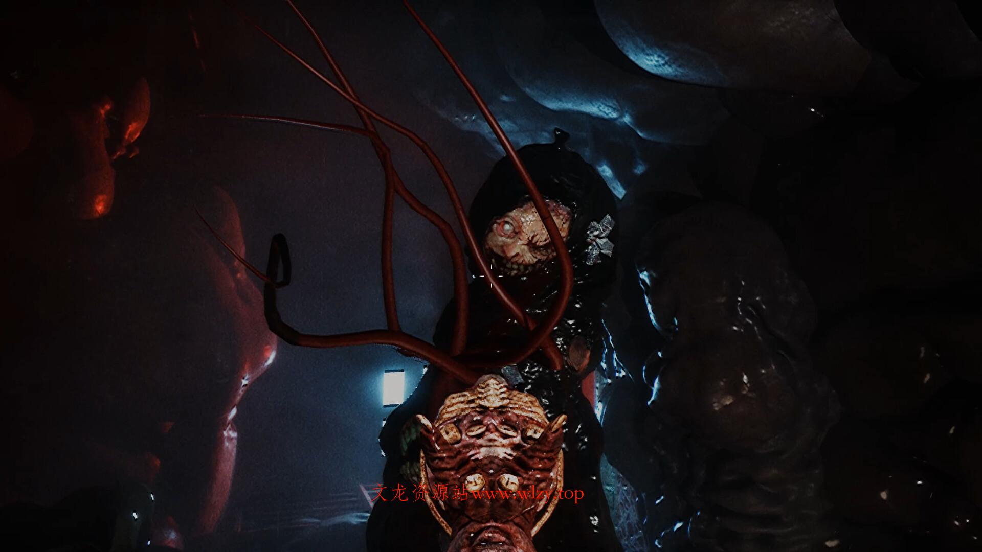 录像怪谈/Dead Format