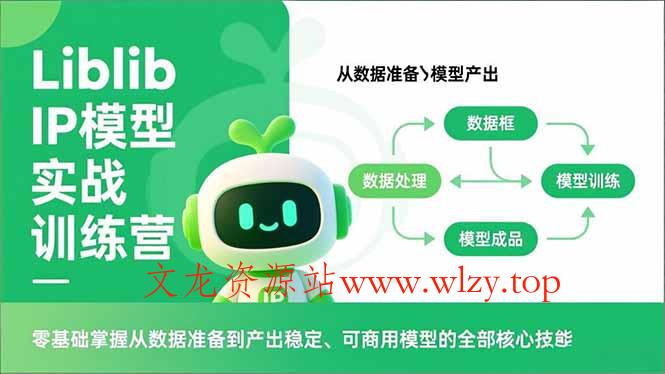 Liblib IP模型实战训练营,零基础掌握从数据准备到产出稳定、可商用模型的全部核心技能-文龙资源站