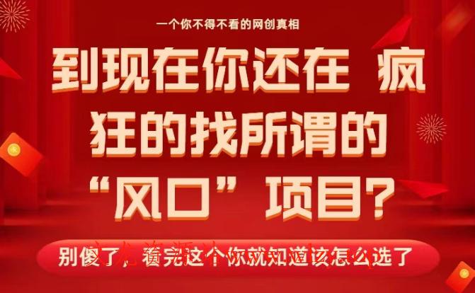 马上26年了,你还在找所谓的风口项目?别傻了,看完这个你全都懂了!【揭秘】