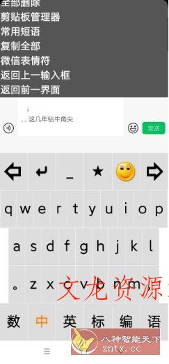 点明输入法v3.0.0729 –专为视障朋友打造的盲用输入法-文龙资源站