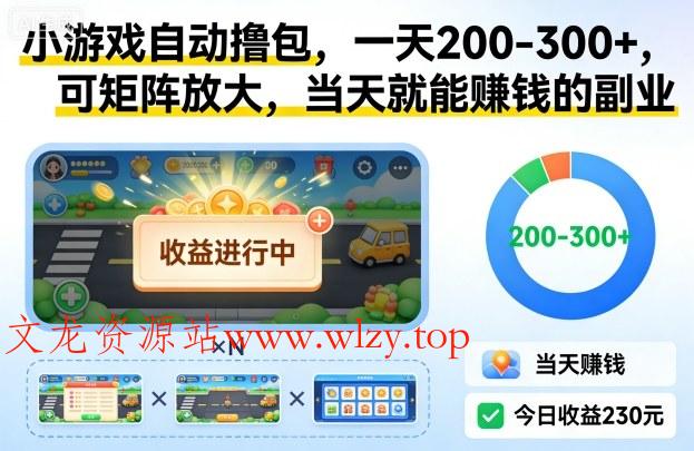 小游戏自动撸包，一天200-300+，可矩阵放大，当天就能賺钱的副业【揭秘】-文龙资源站