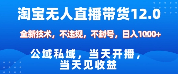 淘宝无人直播12.0，公域私域技术，不封号，不违规布局双十一流量风口，日入1k(独家技术)【揭秘】-文龙资源站