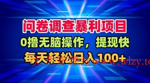 问卷调查暴利项目，0撸无脑操作，提现快，每天轻松日入100+【揭秘】-文龙资源站