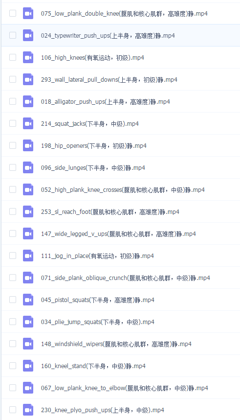 花了一千多元买的私人健身教程-文龙资源站