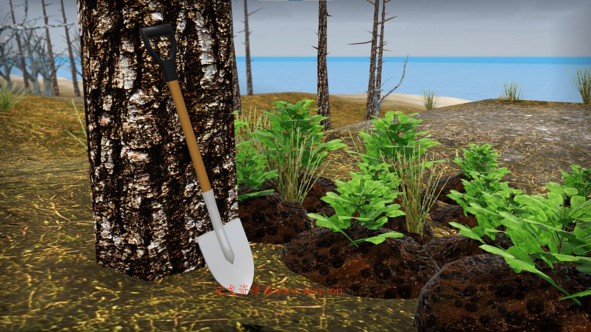 我的破车/Mon Bazou