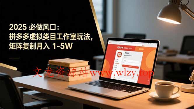 2025 必做风口：拼多多虚拟类目工作室玩法，矩阵复制月入 1-5W-文龙资源站