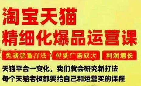 淘宝天猫精细化爆品运营课,免费流量打法-付费广告放大-利润增长-三大核心痛点,一次全部解决