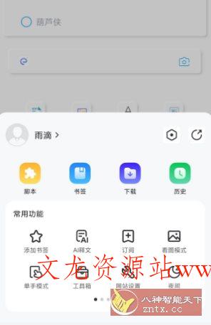 Rains浏览器3.0.4.7-文龙资源站