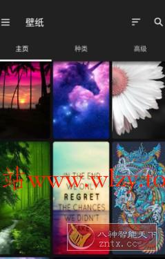 ZEDGE 铃声和壁纸v8.98.2高级版-文龙资源站