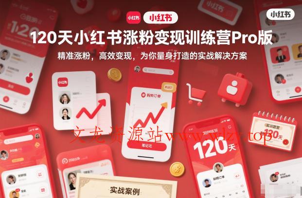 120天小红书涨粉变现训练营Pro版，精准涨粉，高效变现，为你量身打造的实战解决方案-文龙资源站