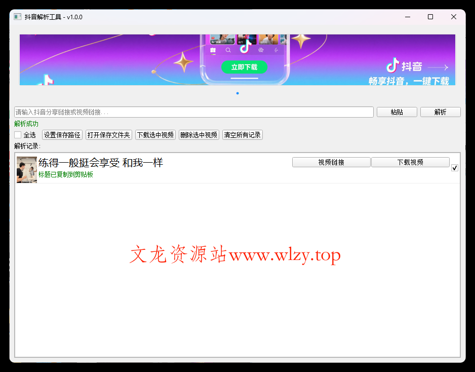 抖音解析下载工具v1.0.0单文件版-文龙资源站